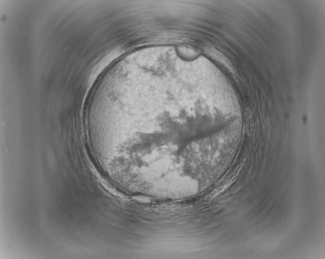 X0000070871087200607150115