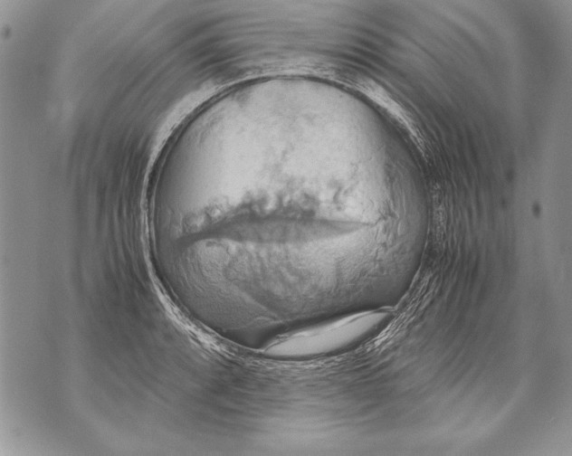 X0000070871088200607150115