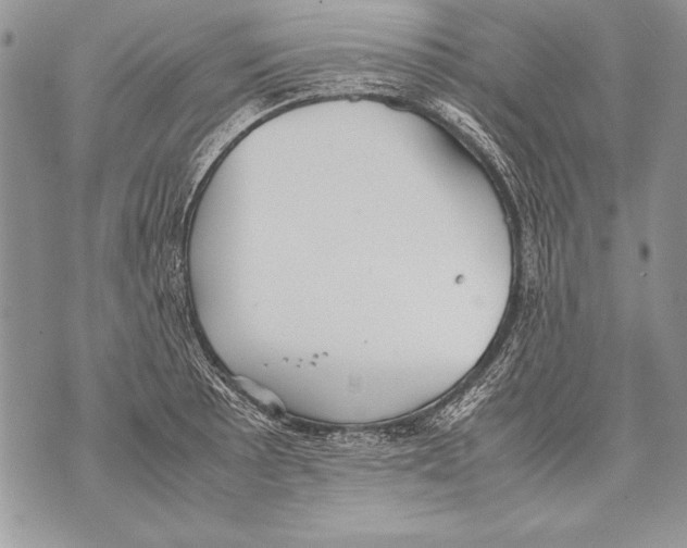 X0000070871089200607150115