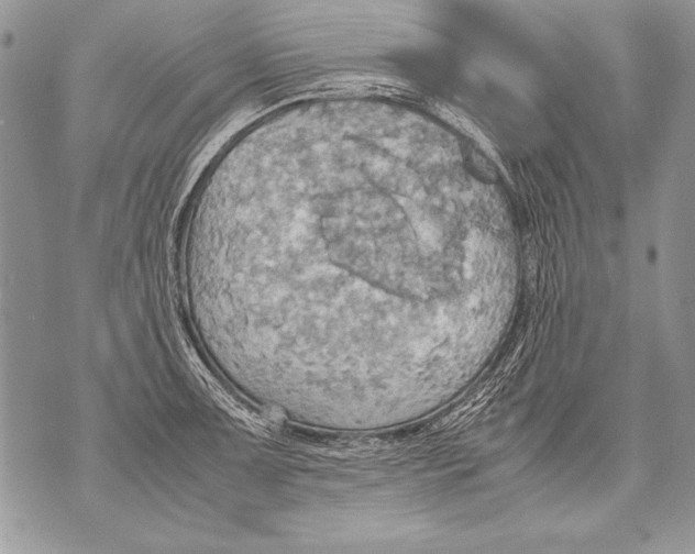 X0000070871091200607150115