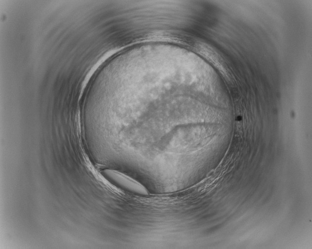 X0000070871092200607150115