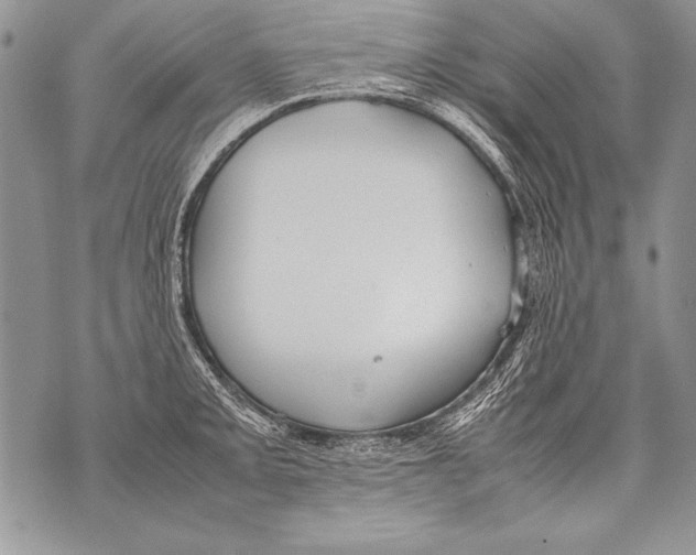 X0000070871093200607150115