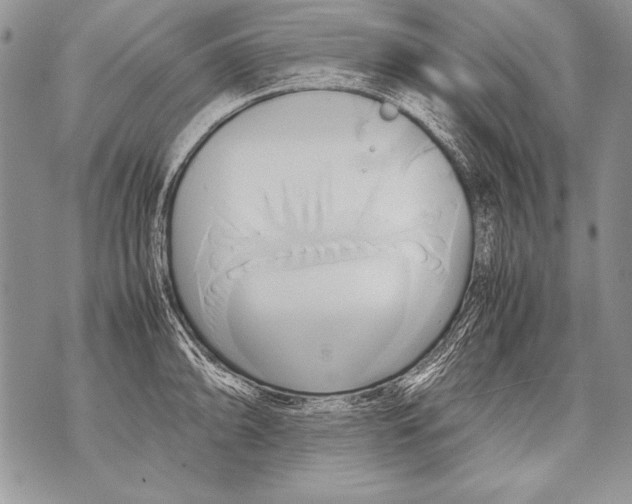 X0000070871094200607150115