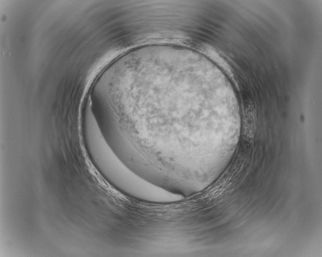 X0000070871096200607150115