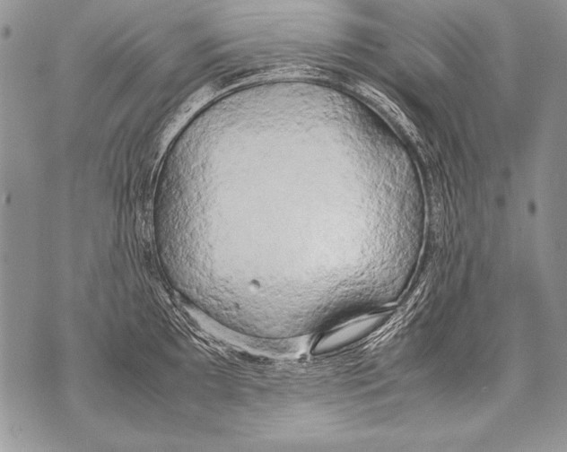 X0000070871097200607150115