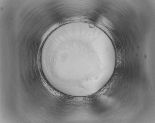 X0000070871098200607150115