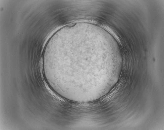 X0000070871100200607150115