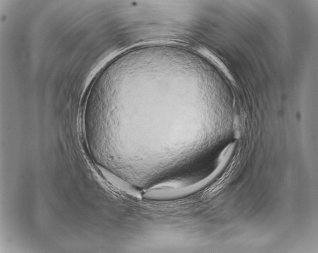 X0000070871101200607150115