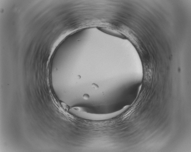 X0000070871102200607150115