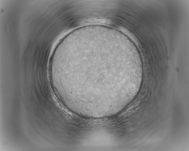 X0000070871104200607150115