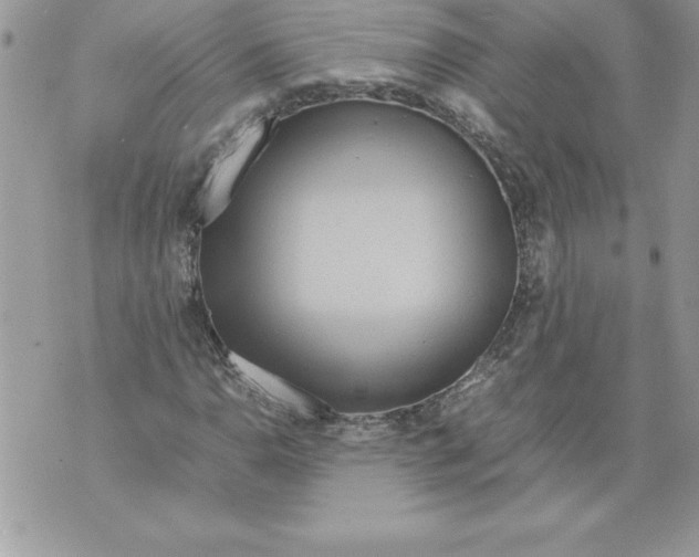 X0000070871110200607150114