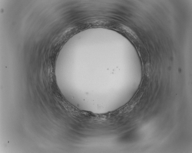 X0000070871111200607150114