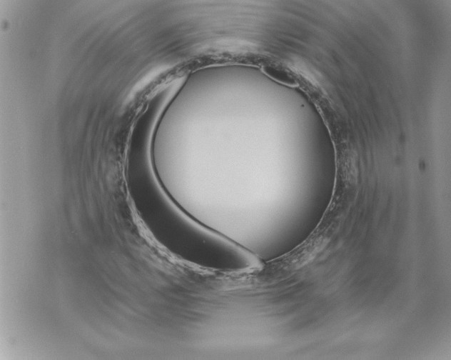 X0000070871112200607150114