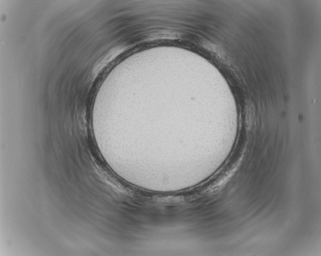 X0000070871113200607150114