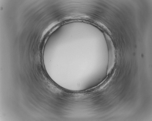 X0000070871114200607150114