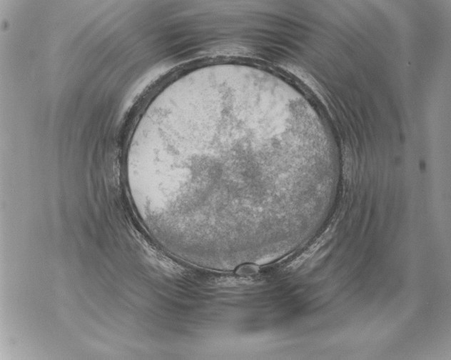 X0000070871115200607150114