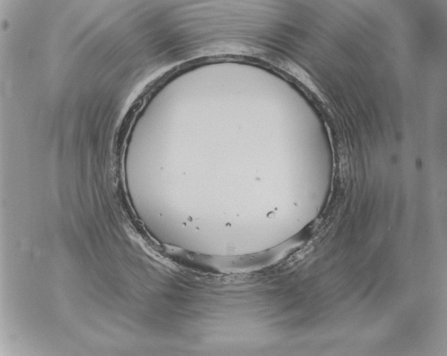 X0000070871116200607150114