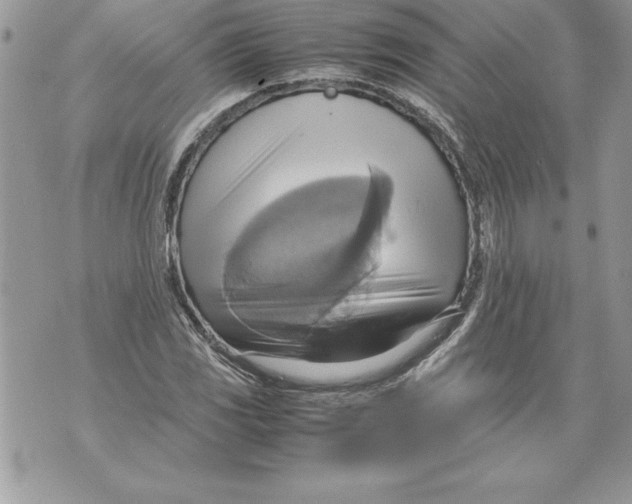 X0000070871117200607150114