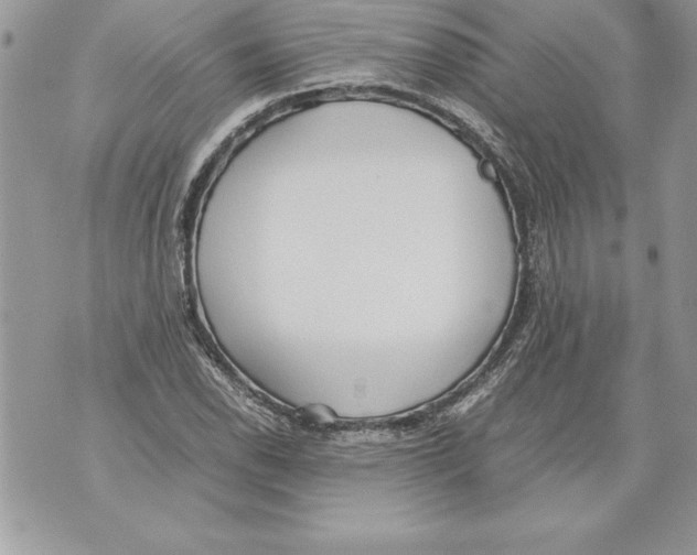 X0000070871118200607150114