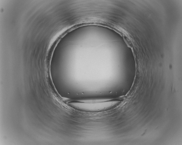 X0000070871120200607150114