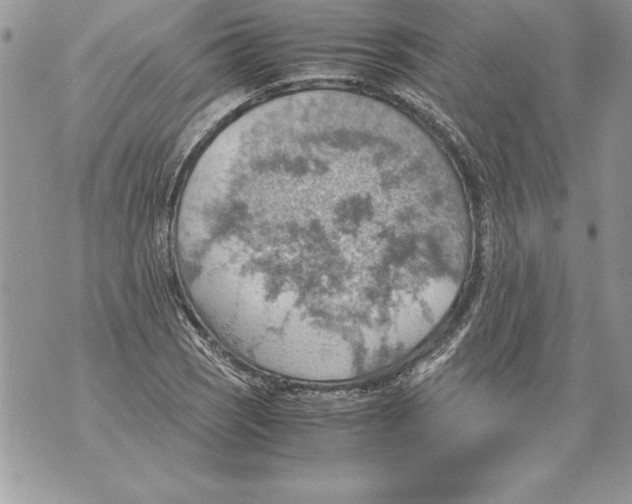 X0000070871121200607150114