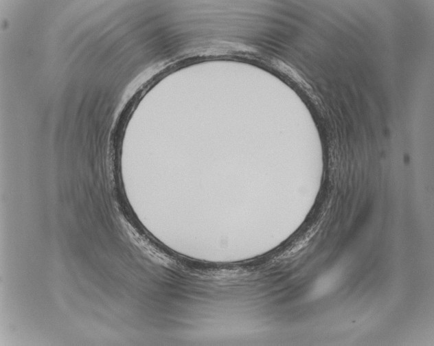 X0000070871122200607150114