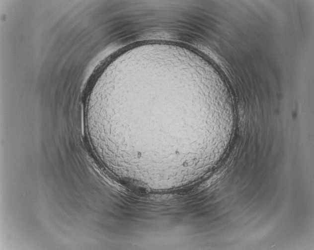 X0000070871123200607150114