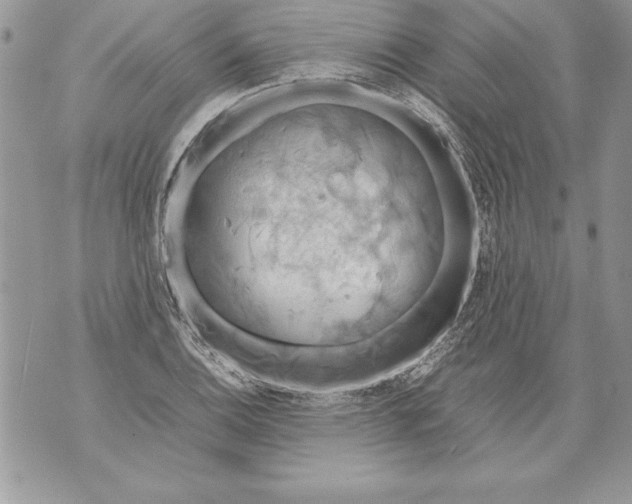 X0000070871124200607150114