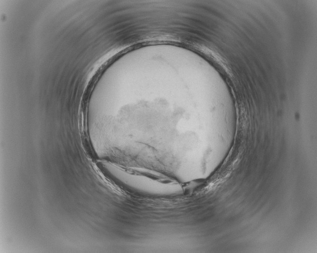 X0000070871125200607150114