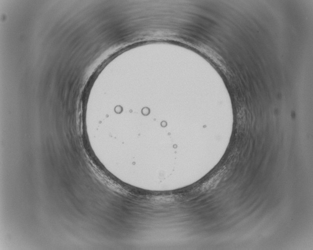 X0000070871126200607150114