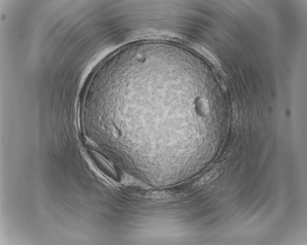 X0000070871128200607150114