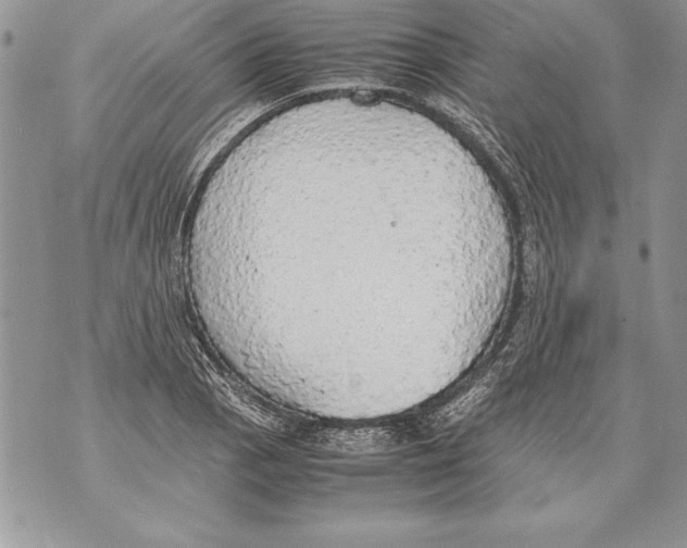 X0000070871129200607150114