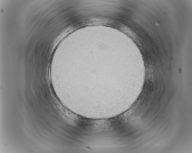 X0000070871130200607150114