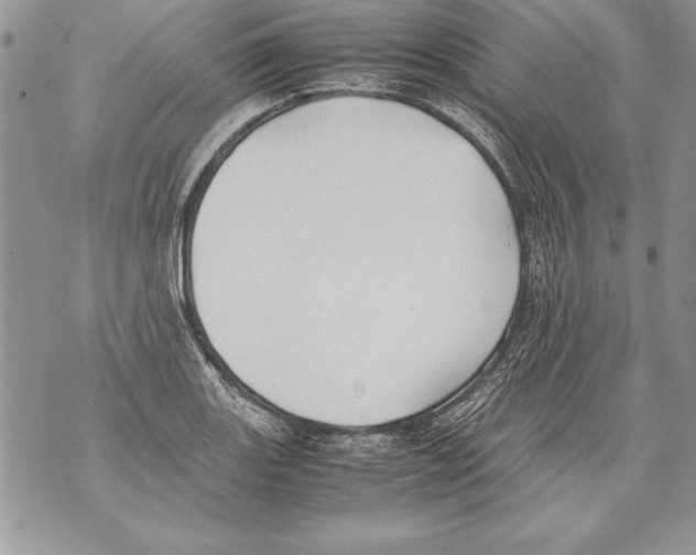 X0000070871131200607150114