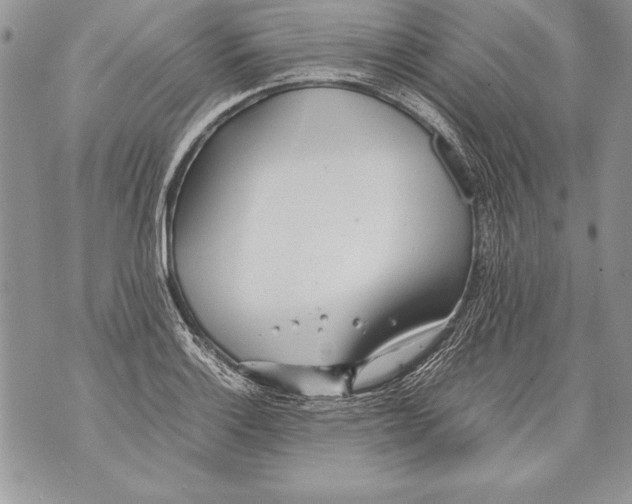 X0000070871132200607150114