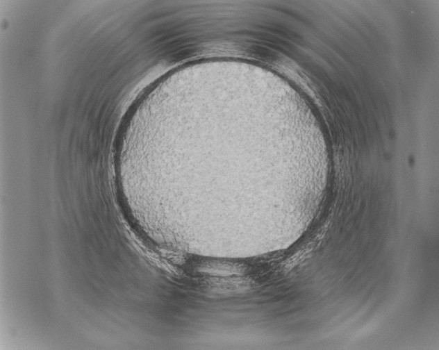 X0000070871133200607150114