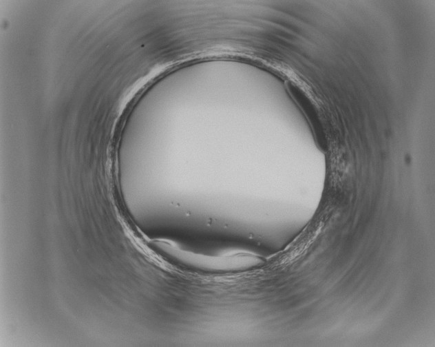 X0000070871134200607150114