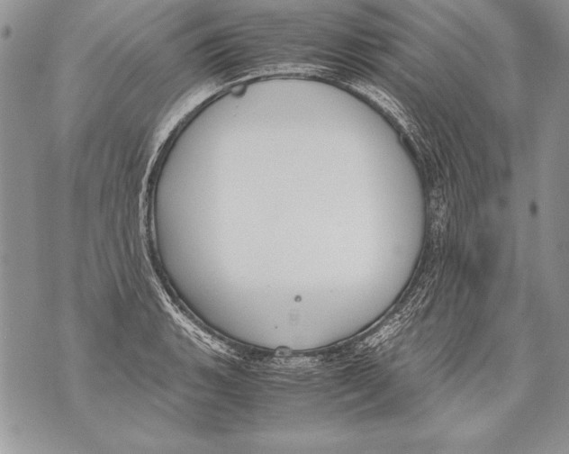 X0000070871135200607150115