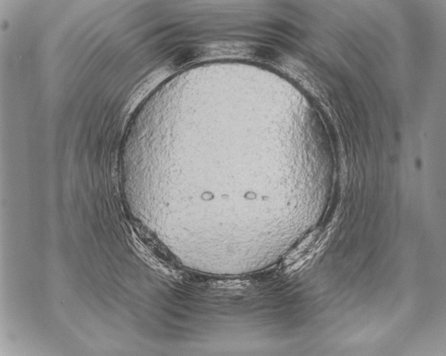 X0000070871137200607150115