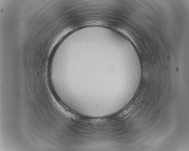 X0000070871139200607150115