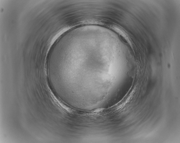 X0000070871141200607150115