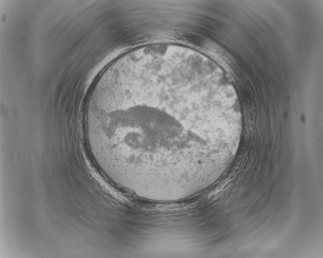 X0000070871142200607150115