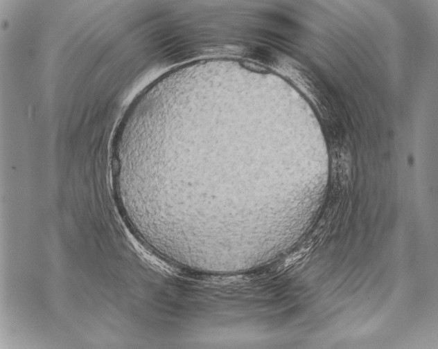 X0000070871143200607150115