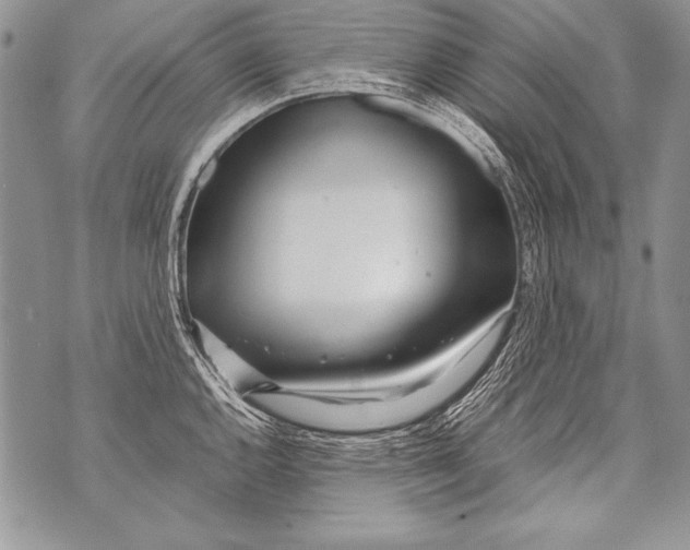 X0000070871144200607150115