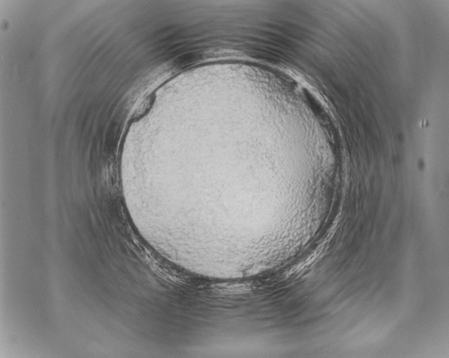 X0000070871145200607150115