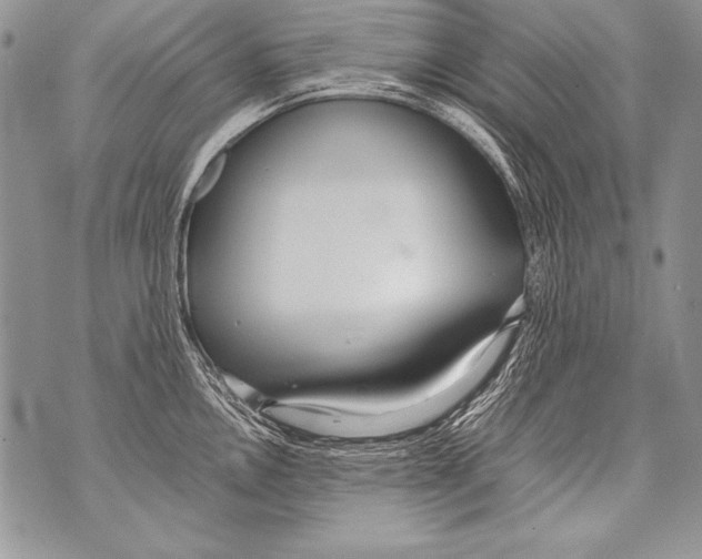 X0000070871146200607150115