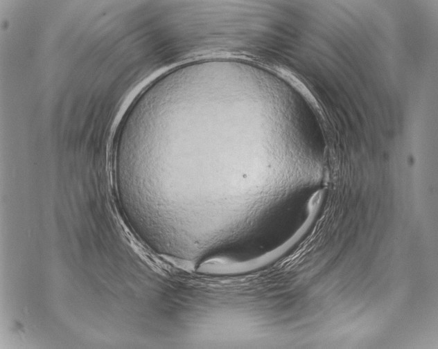 X0000070871148200607150115