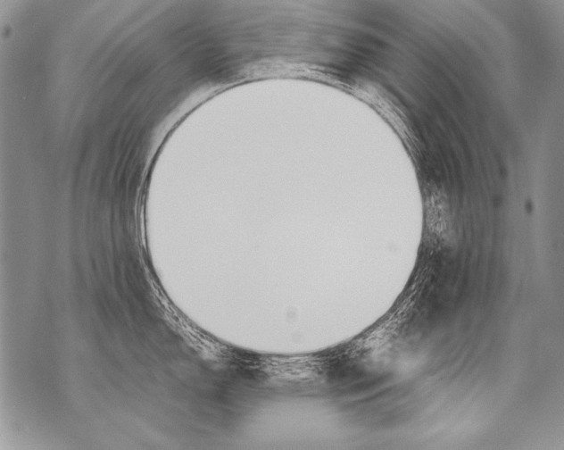 X0000070871150200607150115