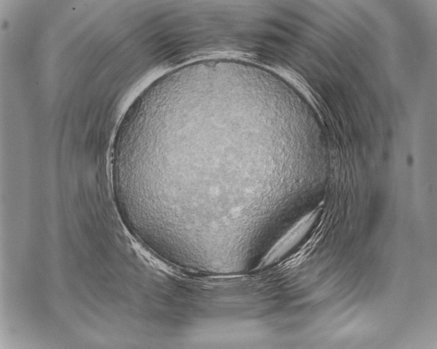 X0000070871151200607150115