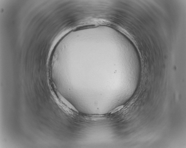 X0000070871152200607150115